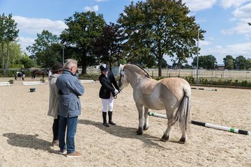 Bild 11 - Pony Akademie Turnier